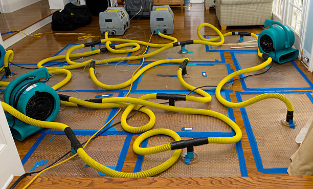 Professional Water Extraction technician working in Woolstock, IA
